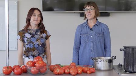 Video thumbnail: Modern Gardener Canning Tomatoes for Beginners
