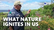 What Nature Ignites in Us