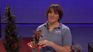 WFSU-Yule Poinsettia Craft Activity