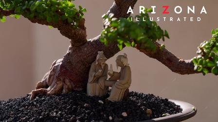 Video thumbnail: Arizona Illustrated Blimp, bonsai, comics