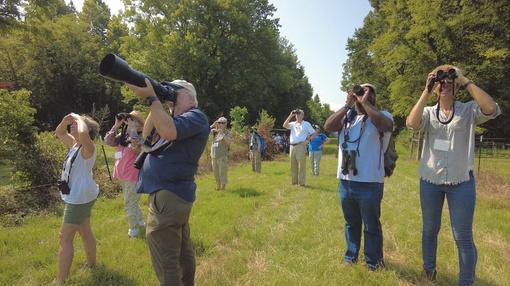 Discovering Alabama : Alabama Birding Trails