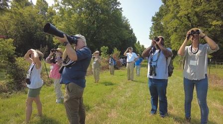 Video thumbnail: Discovering Alabama Alabama Birding Trails