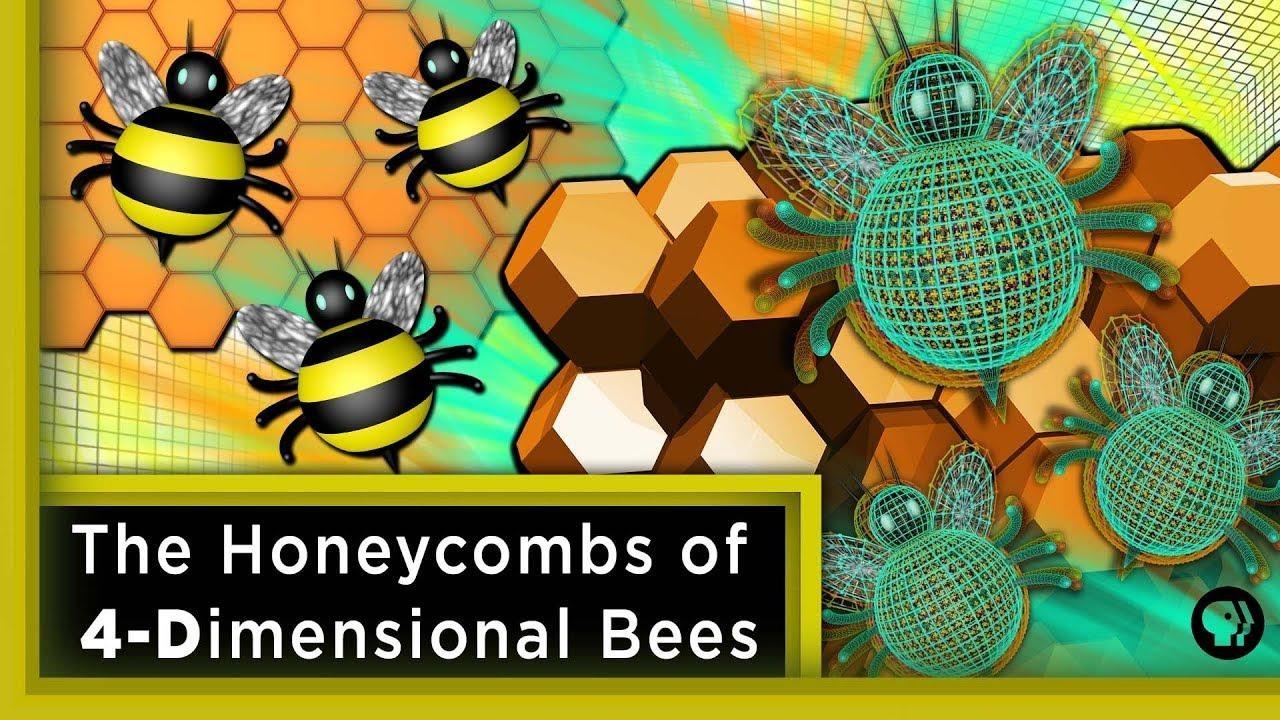 What Is It About Bees And Hexagons? : Krulwich Wonders : NPR