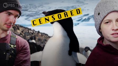 Video thumbnail: Antarctic Extremes Antarctica’s Penguins Taught Us Surprising Life Lessons
