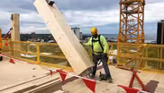 Is mass timber the building material of the future?