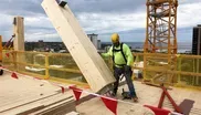 Is mass timber the building material of the future?