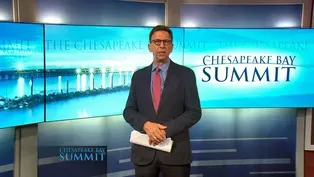 The Chesapeake Bay Summit 2021