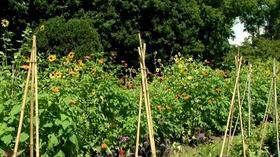 Video thumbnail: Virginia Home Grown Peggy Singlemann visits Tuckahoe Plantation