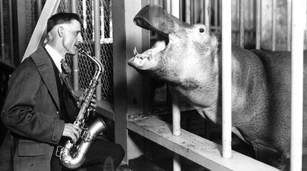 Video thumbnail: Toledo Stories The Toledo Zoo: A Living History