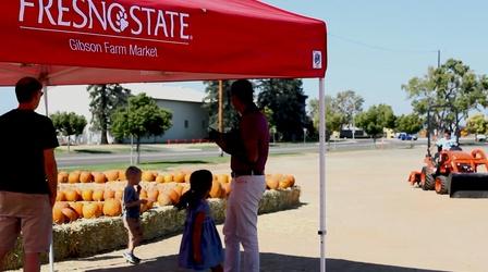 Video thumbnail: Valley PBS Community byYou Fresno State Farm Market Fall Festival