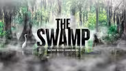 The Swamp
