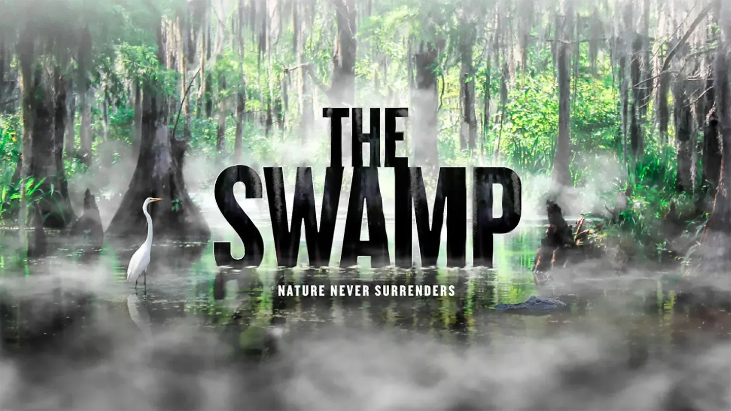 The Swamp