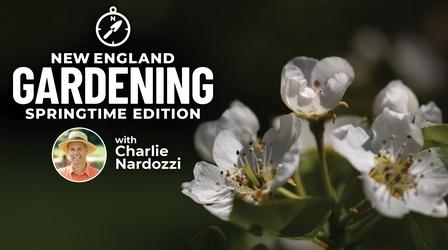 Video thumbnail: New England Gardening with Charlie Nardozzi Springtime Edition New England Gardening w. Charlie Nardozzi Springtime Edition