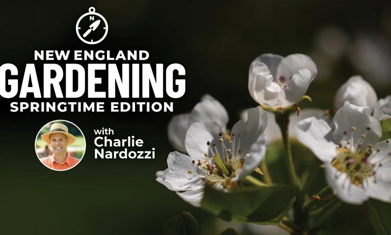 New England Gardening w. Charlie Nardozzi Springtime Edition