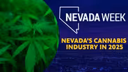 Nevada’s cannabis industry in 2025