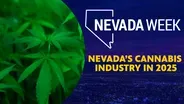 Nevada’s cannabis industry in 2025