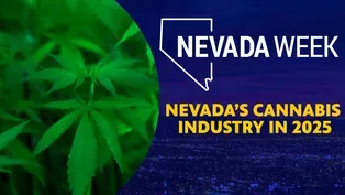 Nevada’s cannabis industry in 2025