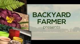 Video thumbnail: Backyard Farmer Backyard Farmer: Lifestyle Gardening: New Home Landscapes