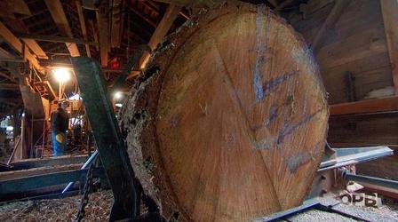 Video thumbnail: Oregon Field Guide Yoder Mill