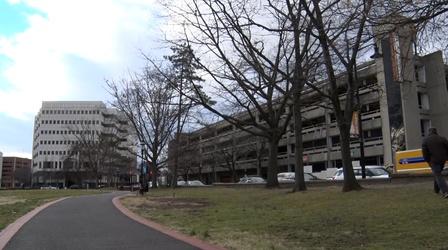 Video thumbnail: NJ Spotlight News NJ awards grants for planting more trees