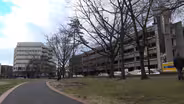 NJ awards grants for planting more trees