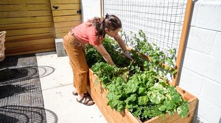 Video thumbnail: You Oughta Know Philadelphia Box Gardens: No Space? No Problem!
