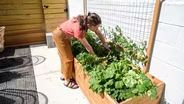 Philadelphia Box Gardens: No Space? No Problem!