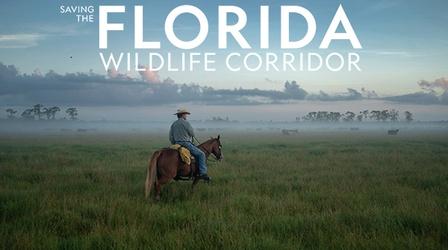 Video thumbnail: WEDU Specials Saving the Florida Wildlife Corridor | Preview