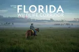 Saving the Florida Wildlife Corridor | Preview