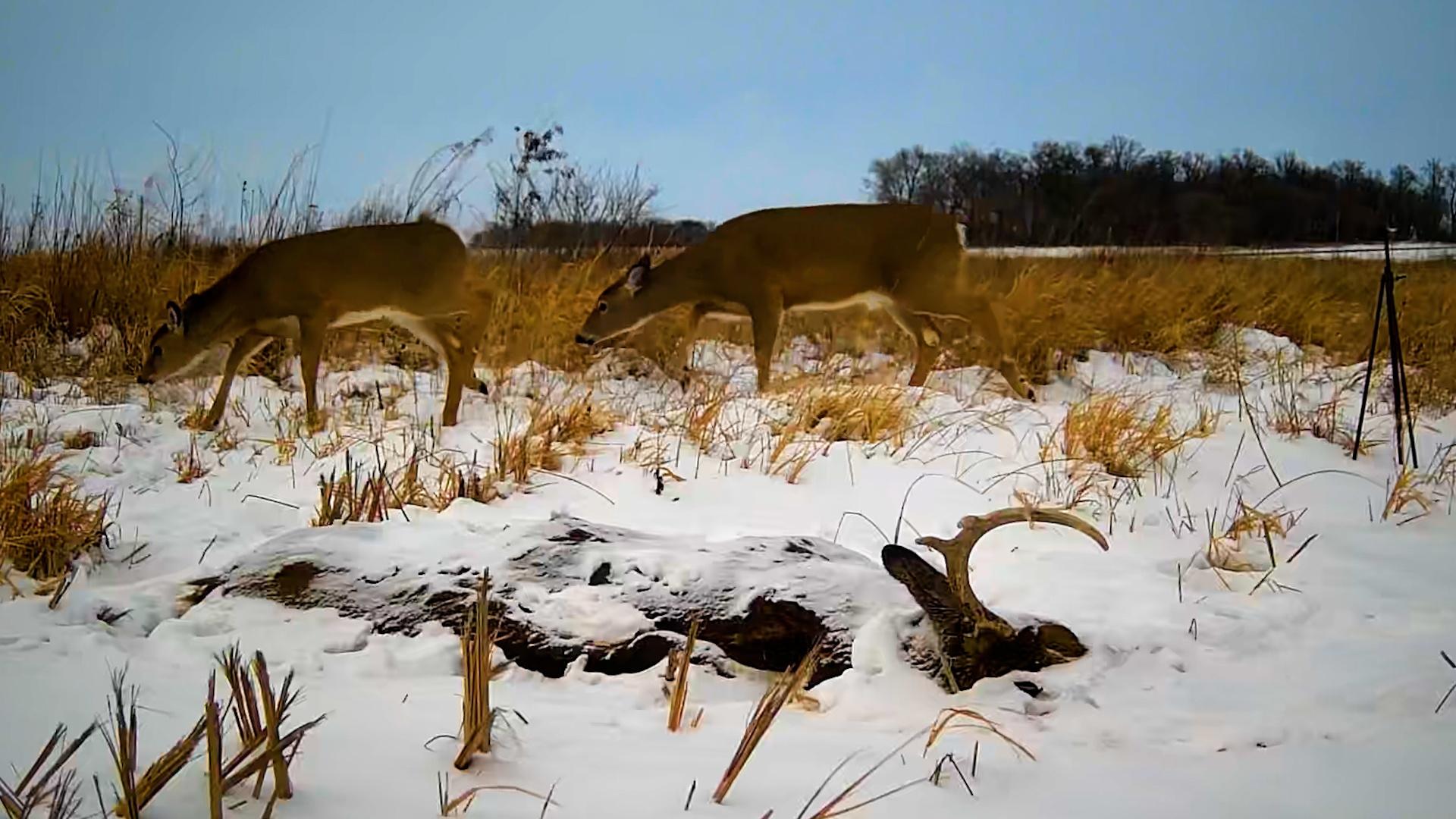 This week's episode of Prairie Sportsman features a behind-the-scenes tour  of the world-class St. Croix Watershed Research Station! 🌊