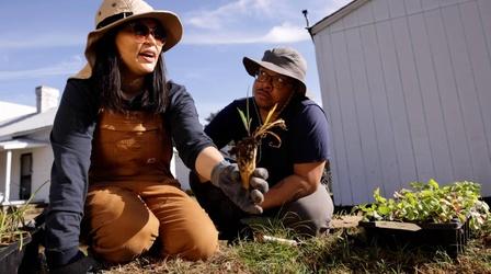 Video thumbnail: State of Change Planting Piedmont Grasslands Helps Fight Climate Change