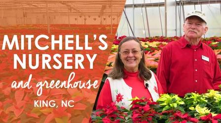 Video thumbnail: North Carolina Weekend Mitchell's Nursery and Greenhouse