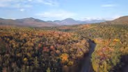 White Mountain National Forest - Wild Moments