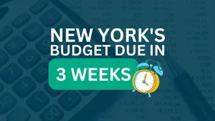 New York State Budget: Panel Discussion