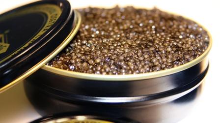 Video thumbnail: SCI NC How to raise Russian caviar, NC-style