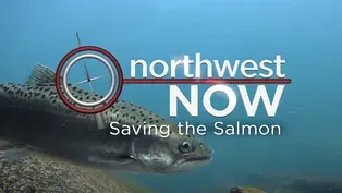 Saving the Salmon - Oct. 9