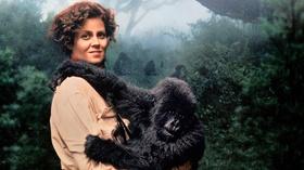 Video thumbnail: SATURDAY NIGHT CINEMA Gorillas in the Mist WEB EXTRA