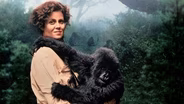 Gorillas in the Mist WEB EXTRA