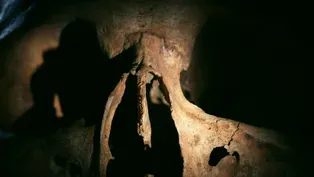 Why Did These Vikings' Bones Appear Older Than They Are?
