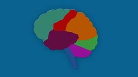 Video thumbnail: NPT Reports: Aging Matters The Addicted Brain | Aging Matters | NPT