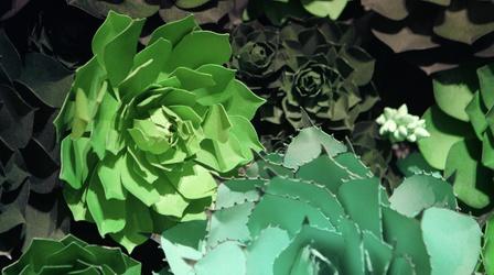 Video thumbnail: Broad and High Craft Flower, Remembering Isabel Toledo