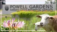 Focus On: Powell Gardens