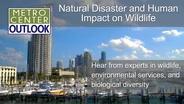 Natural and Human Impacts on Wildlife - Sunday and 9am