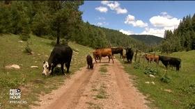 Video thumbnail: PBS NewsHour New Mexico ranchers challenge restrictions on water rights