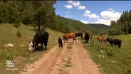 New Mexico ranchers challenge restrictions on water rights