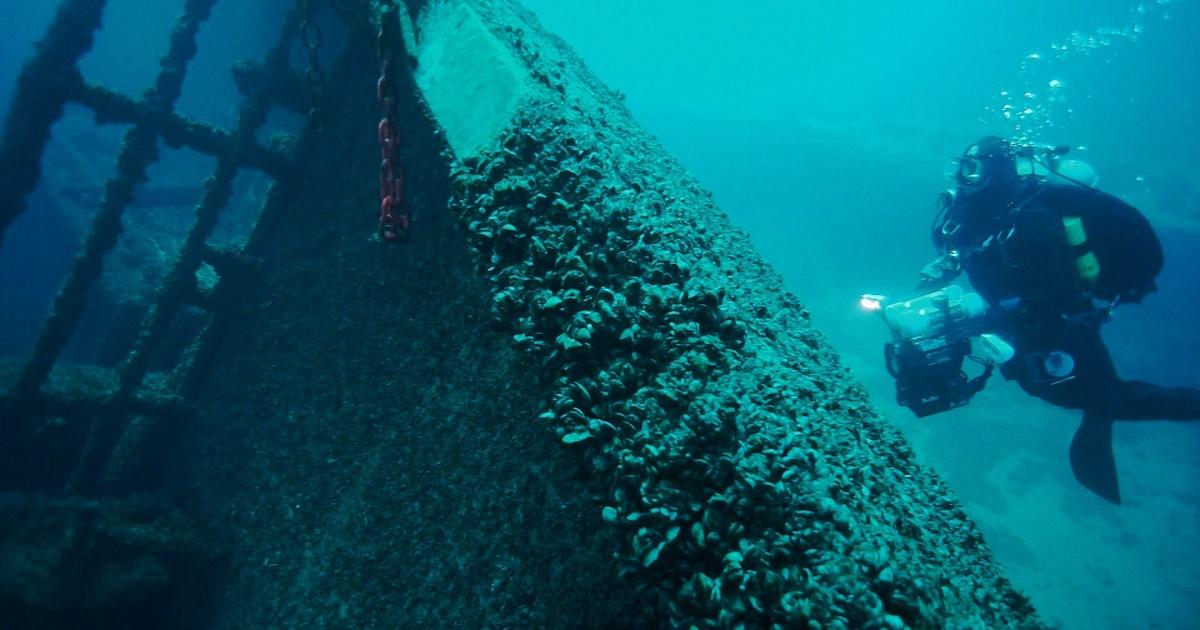 Moss Balls and Zebra Mussels - Great Lakes Research and Education Center  (U.S. National Park Service)