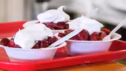 Copper Country Strawberry Festival 2025