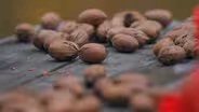 Pecans in Georgia