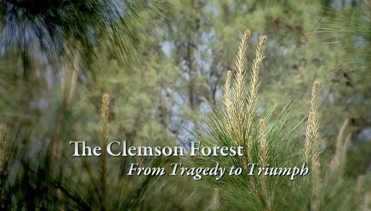 The Clemson Forest – From Tragedy to Triumph