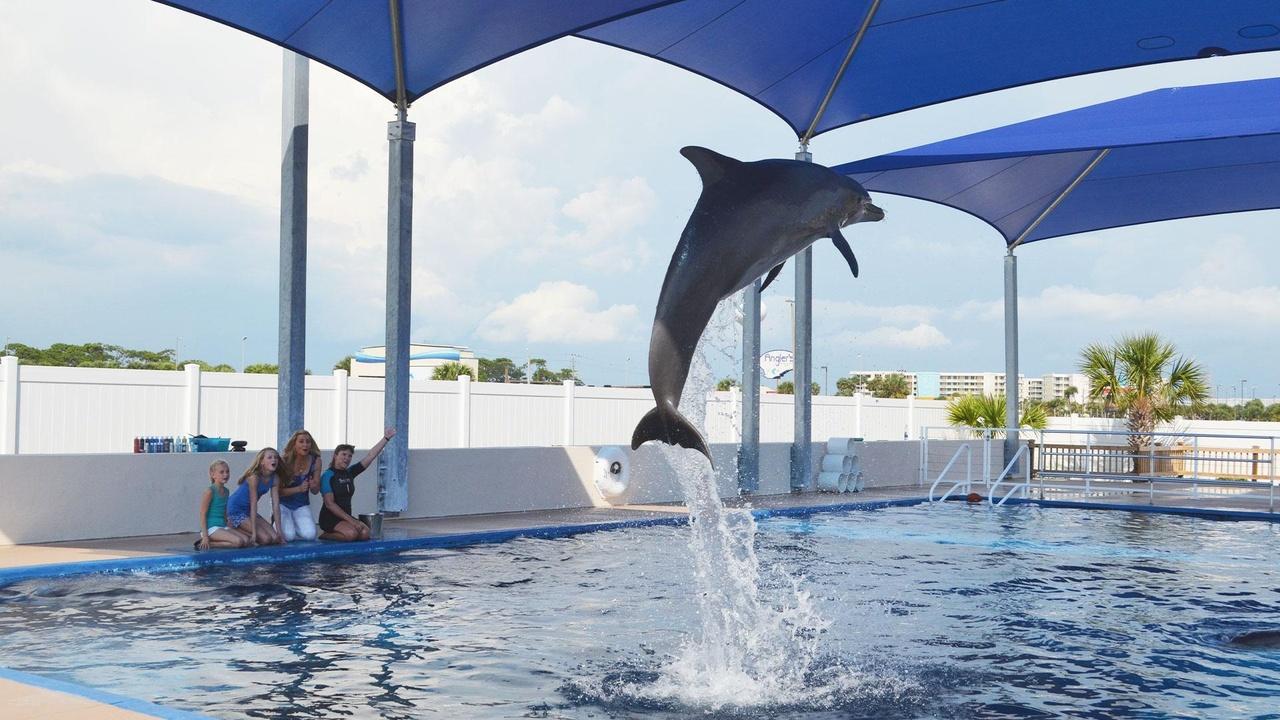 Family Travel With Colleen Kelly Best of Florida airing Mon, Jun 22 11:30 am